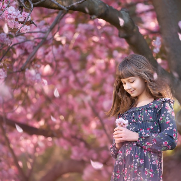 rodinny fotograf dievcatko v kvitnucich sakurach