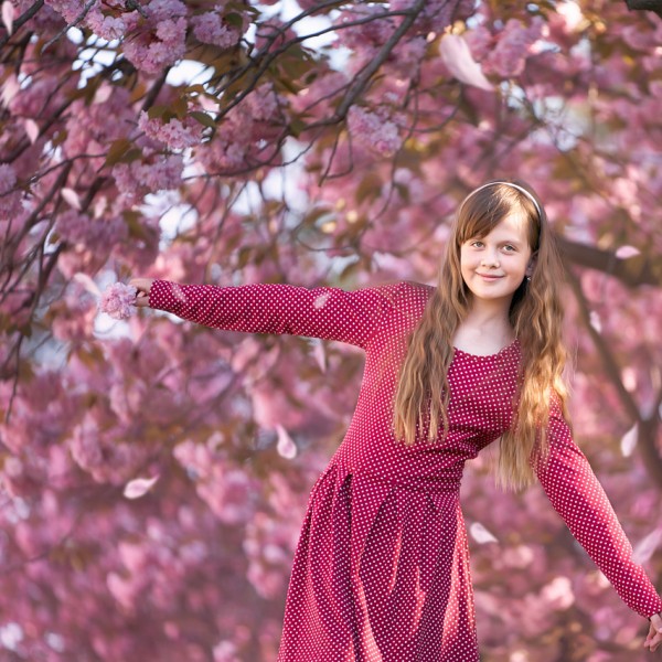 rodinny fotograf dievcatko v zakvitnutych sakurach